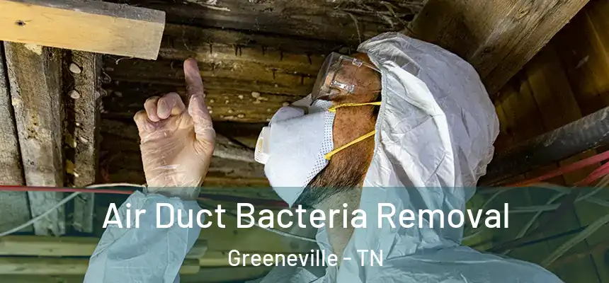  Air Duct Bacteria Removal Greeneville - TN