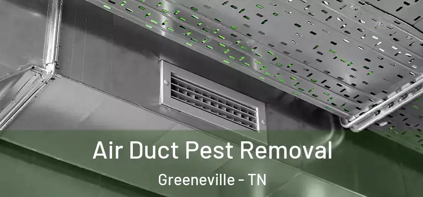  Air Duct Pest Removal Greeneville - TN