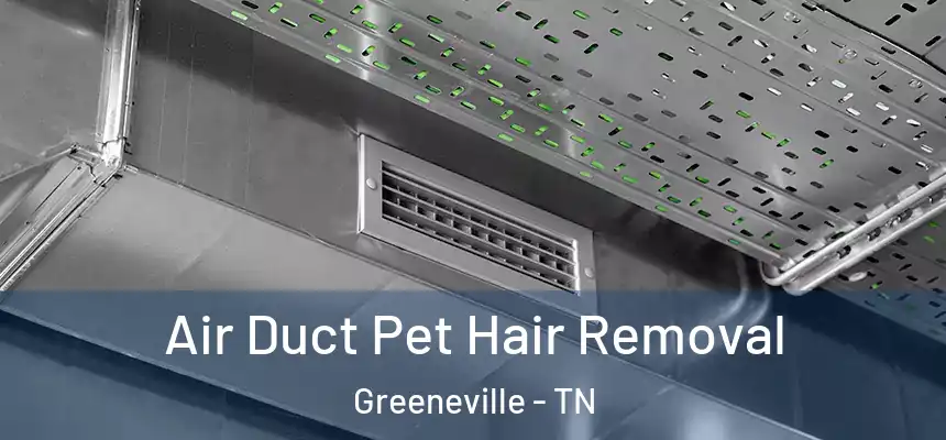  Air Duct Pet Hair Removal Greeneville - TN