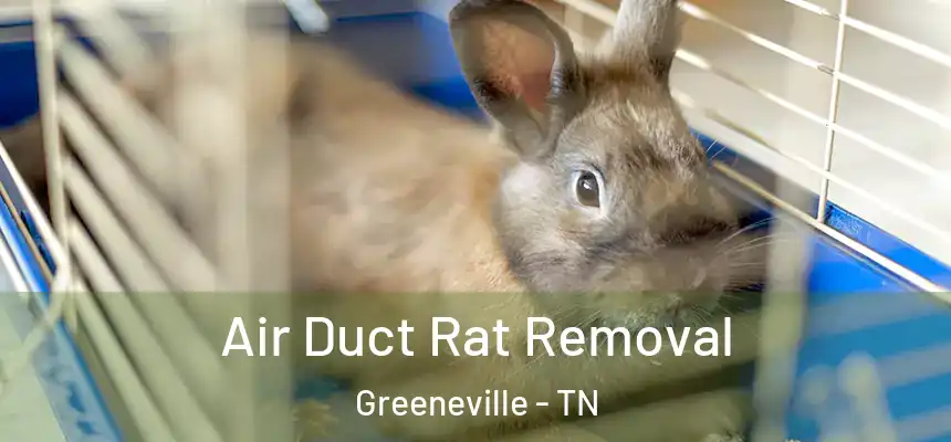  Air Duct Rat Removal Greeneville - TN