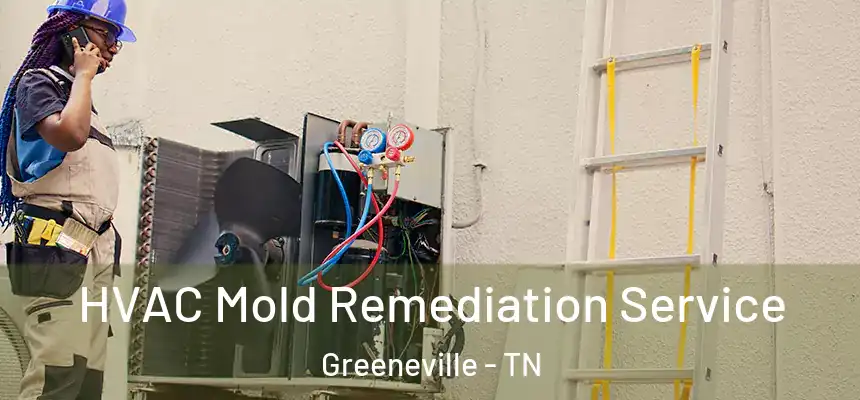  HVAC Mold Remediation Service Greeneville - TN