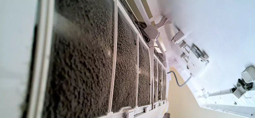 Preventive Air Duct Bacteria Removal in Greeneville