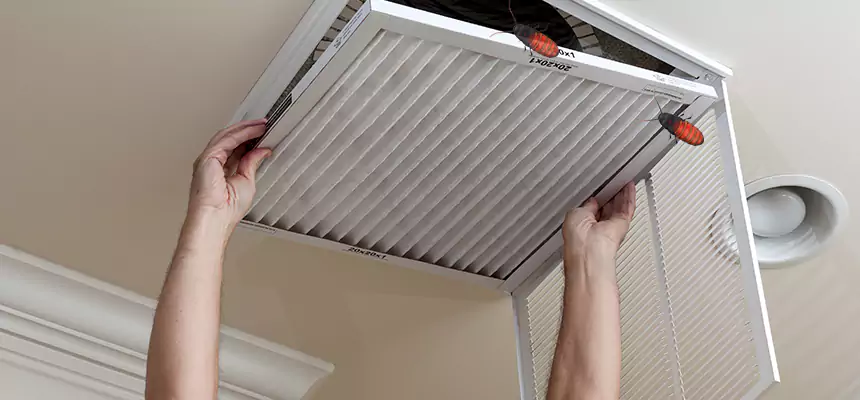 Preventive Cockroach-Proofing for Ducts in Greeneville
