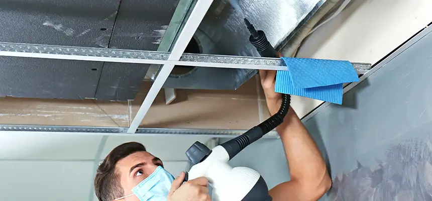 Our Air Duct Rodent Removal Services in Greeneville, TN