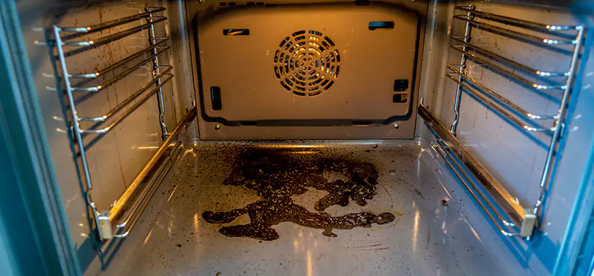 Our Dryer Vent Mold Cleaning Services in Greeneville, TN