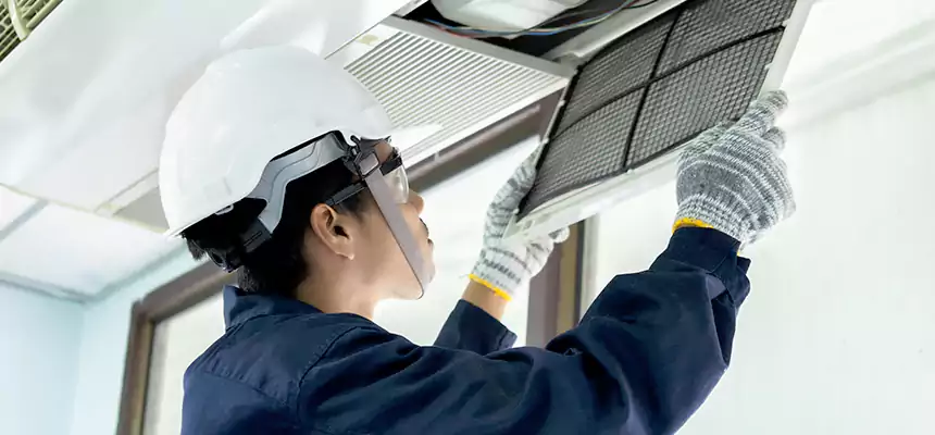 Our Mold & Mildew Removal from Air Ducts Services in Greeneville, TN