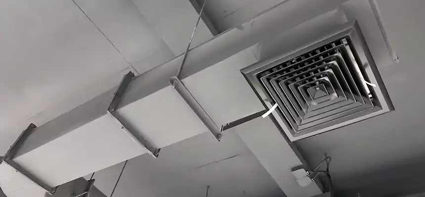 Our Pest Removal From Ducts Services in Greeneville, TN