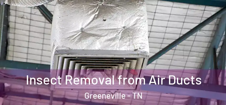  Insect Removal from Air Ducts Greeneville - TN