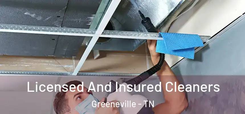  Licensed And Insured Cleaners Greeneville - TN