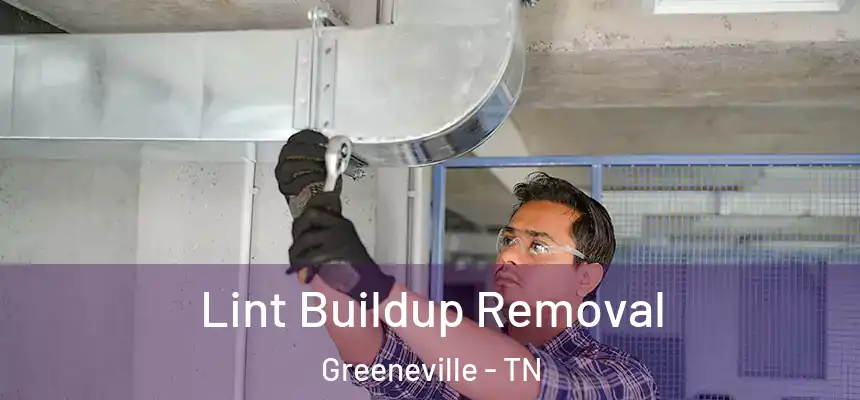  Lint Buildup Removal Greeneville - TN