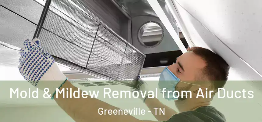  Mold & Mildew Removal from Air Ducts Greeneville - TN
