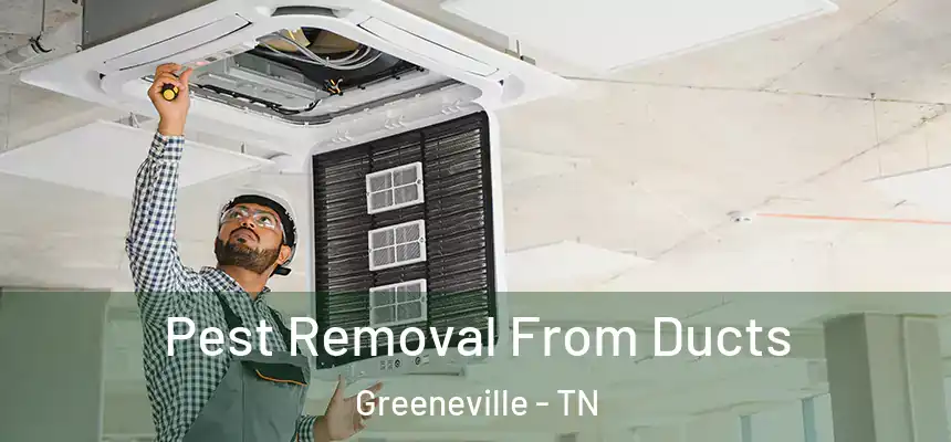  Pest Removal From Ducts Greeneville - TN
