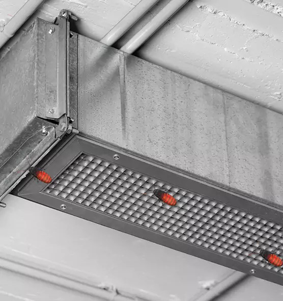 About Air Duct Cockroach Removal in Greeneville, TN