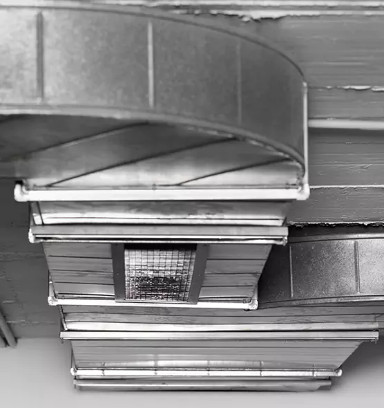 Professional Air Duct Pet Hair Removal in Greeneville, TN