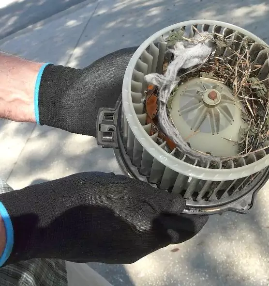 About Air Duct Rat Removal in Greeneville, TN