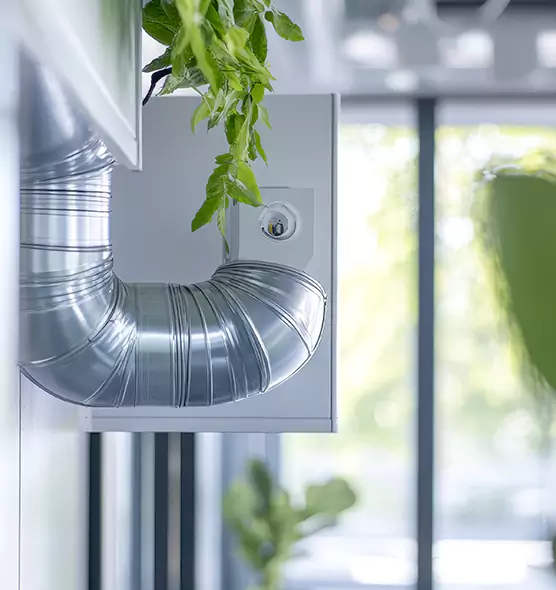 Professional Eco-Safe Dryer Vent Cleaning in Greeneville, TN