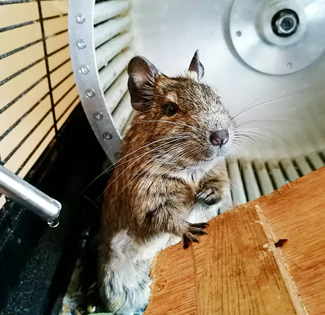 Why Homeowners & Businesses Trust Us Greeneville, TN?