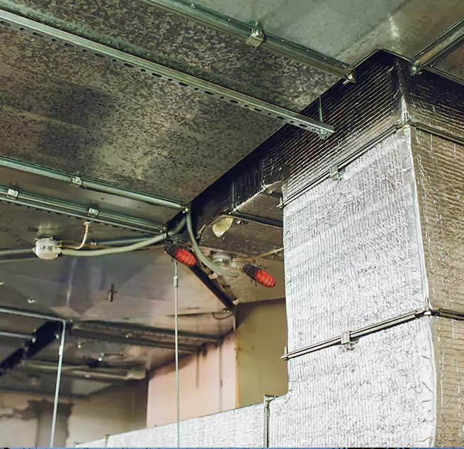 Why Homeowners & Businesses Trust Us Greeneville, TN?