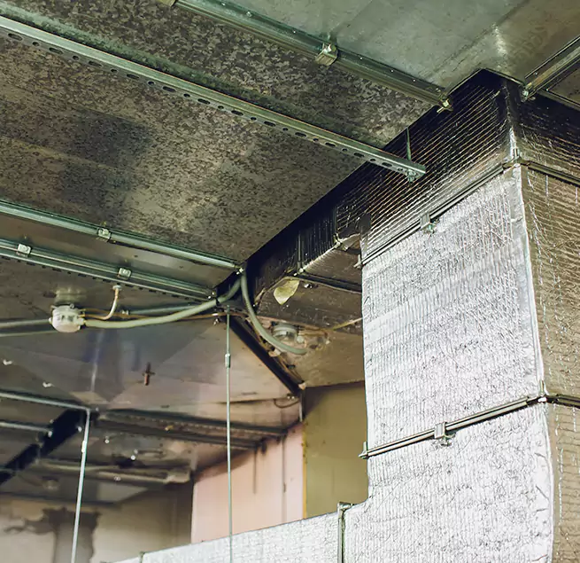 Why Homeowners & Businesses Trust Us in Greeneville, TN?